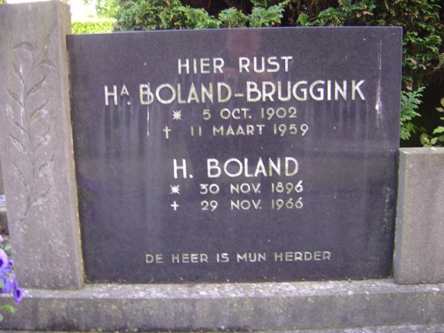 bolandbruggink.jpg