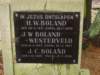bolandwesterveld_small.jpg